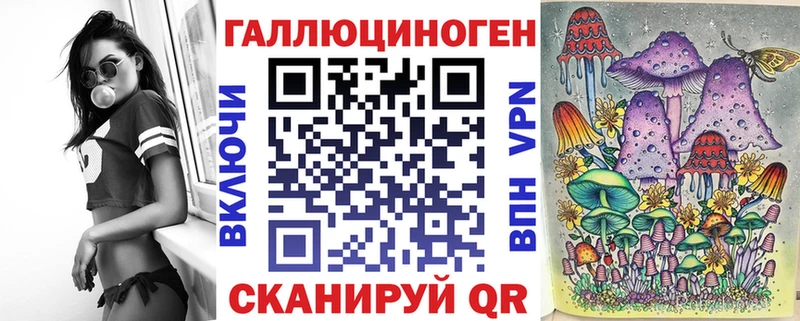 купить   Баксан  Галлюциногенные грибы Cubensis 